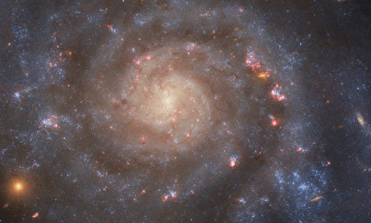 NASA's Hubble Space Telescope captures the face-on spiral galaxy, IC 5332. ESA/Hubble & NASA, R. Chandar, J